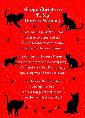 from The Cat Christmas Poem Verse Card (Human Mammy)