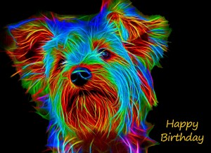 Yorkshire Terrier Neon Art Birthday Card