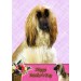 Afghan Hound Mother's Day Card
