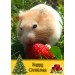Hamster christmas card