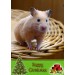 Hamster christmas card