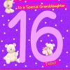 16 Today Birthday Card (Granddaughter)