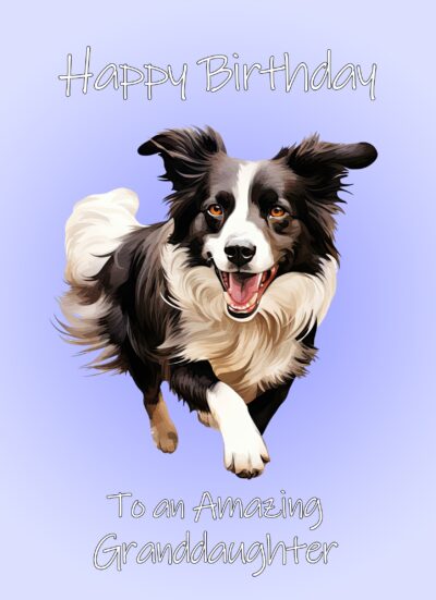 Border Collie Dog Birthday Card For Granddaughter