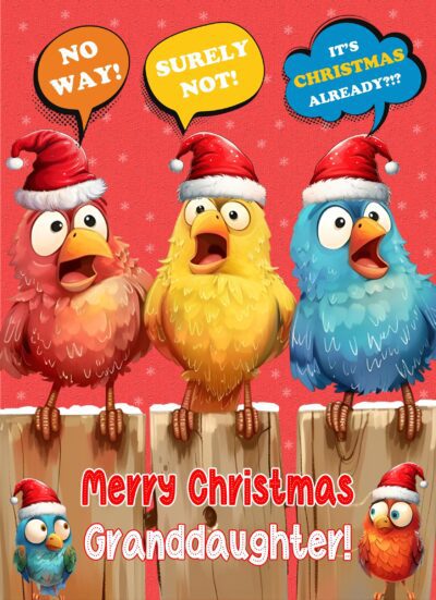 Christmas Card For Granddaughter (Funny Birds