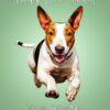 English Bull Terrier Dog Birthday Card For Granddaughter