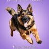 German Shepherd Dog Birthday Card For Granddaughter