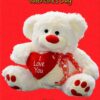 Valentines Day Teddy Bear 'Wonderful Girlfriend' Greeting Card