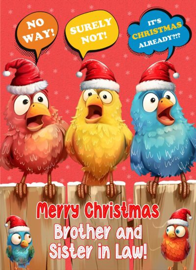 Christmas Card For Brother and Sister in Law (Funny Birds