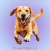 Golden Labrador Dog Birthday Card For Brother in Law