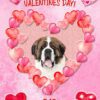 St Bernard Dog Valentines Day Card (Happy Valentines