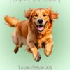 Golden Retriever Dog Birthday Card For Daughter in Law