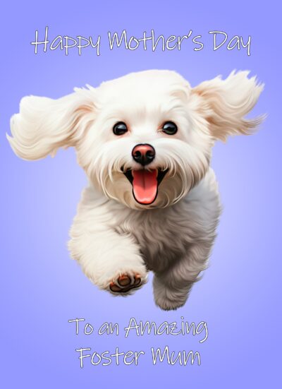 Bichon Frise Dog Mothers Day Card For Foster Mum