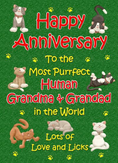 From The Cat Anniversary Card (Purrfect Grandma and Grandad)