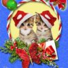 Cat/Kitten Christmas Card Blue 'Happy Christmas Dad'