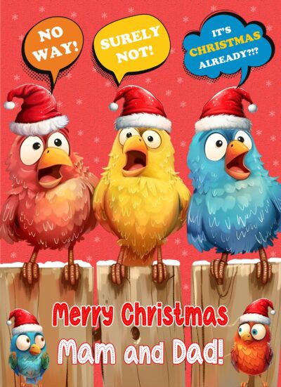 Christmas Card For Mam and Dad (Funny Birds