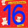 16 Today Birthday Card (Grandson)