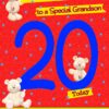 20 Today Birthday Card (Grandson)