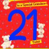 21 Today Birthday Card (Grandson)