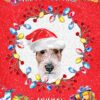 Airedale Dog Christmas Card (Happy Woofmas
