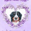 Bernese Mountain Dog Mothers Day Card (Happy Mothers