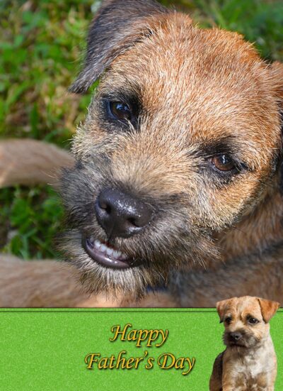 Border Terrier Fathers Day Card