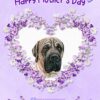 Bull Mastiff Dog Mothers Day Card (Happy Mothers