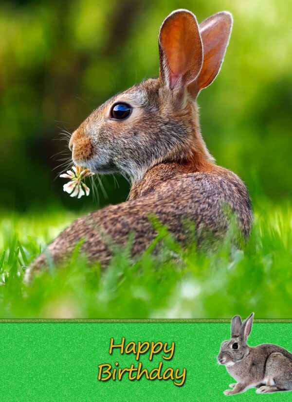 Bunny Rabbit Birthday Card - Fat Cat Cards