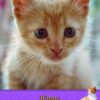 Cat Fathers Day Card