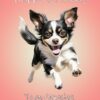 Chihuahua Dog Birthday Card For Nan