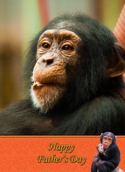 Chimpanzee Monkey Fathers Day Card