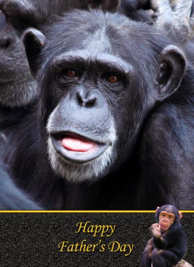 Chimpanzee Monkey Fathers Day Card