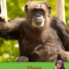 Chimpanzee Monkey Fathers Day Card