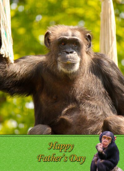 Chimpanzee Monkey Fathers Day Card
