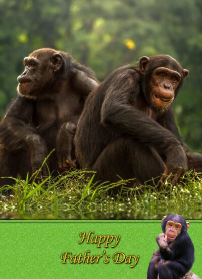Chimpanzee Monkey Fathers Day Card