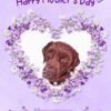 Chocolate Labrador Dog Mothers Day Card (Happy Mothers