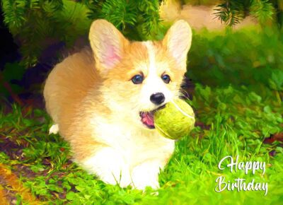 Corgi Art Birthday Card