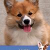 Corgi Birthday Card