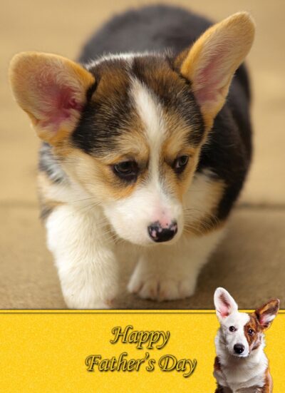 Corgi Fathers Day Card