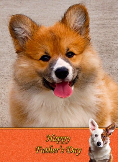Corgi Fathers Day Card
