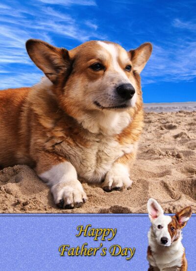Corgi Fathers Day Card