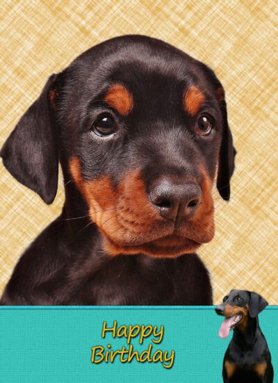 Doberman Birthday Card