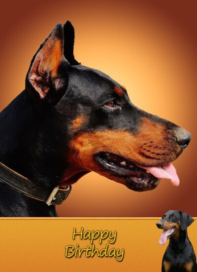 Doberman Birthday Card