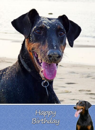 Doberman Birthday Card