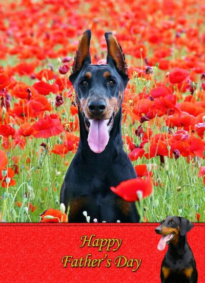 Doberman Fathers Day Card