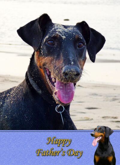 Doberman Fathers Day Card