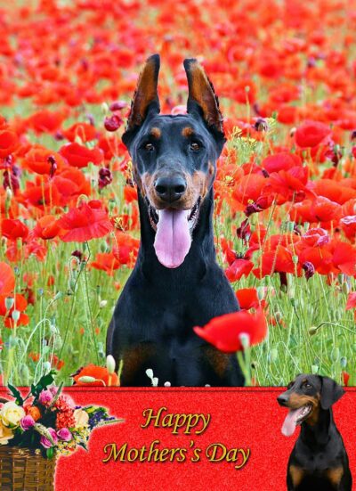 Doberman Mothers Day Card