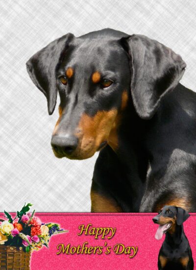 Doberman Mothers Day Card