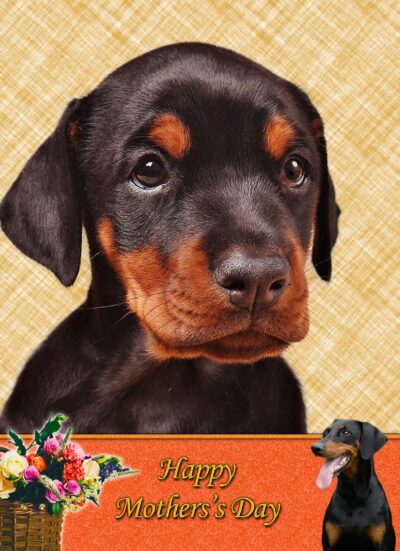 Doberman Mothers Day Card