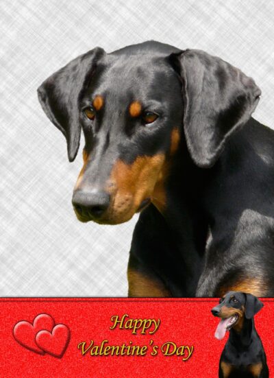Doberman Valentines Day Card