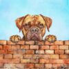 Dogue de Bordeaux Dog Art Square Blank Greeting Card
